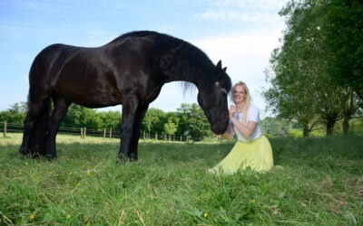 Einblicke auf ein Pferdeshooting mit Model im Wendy Style