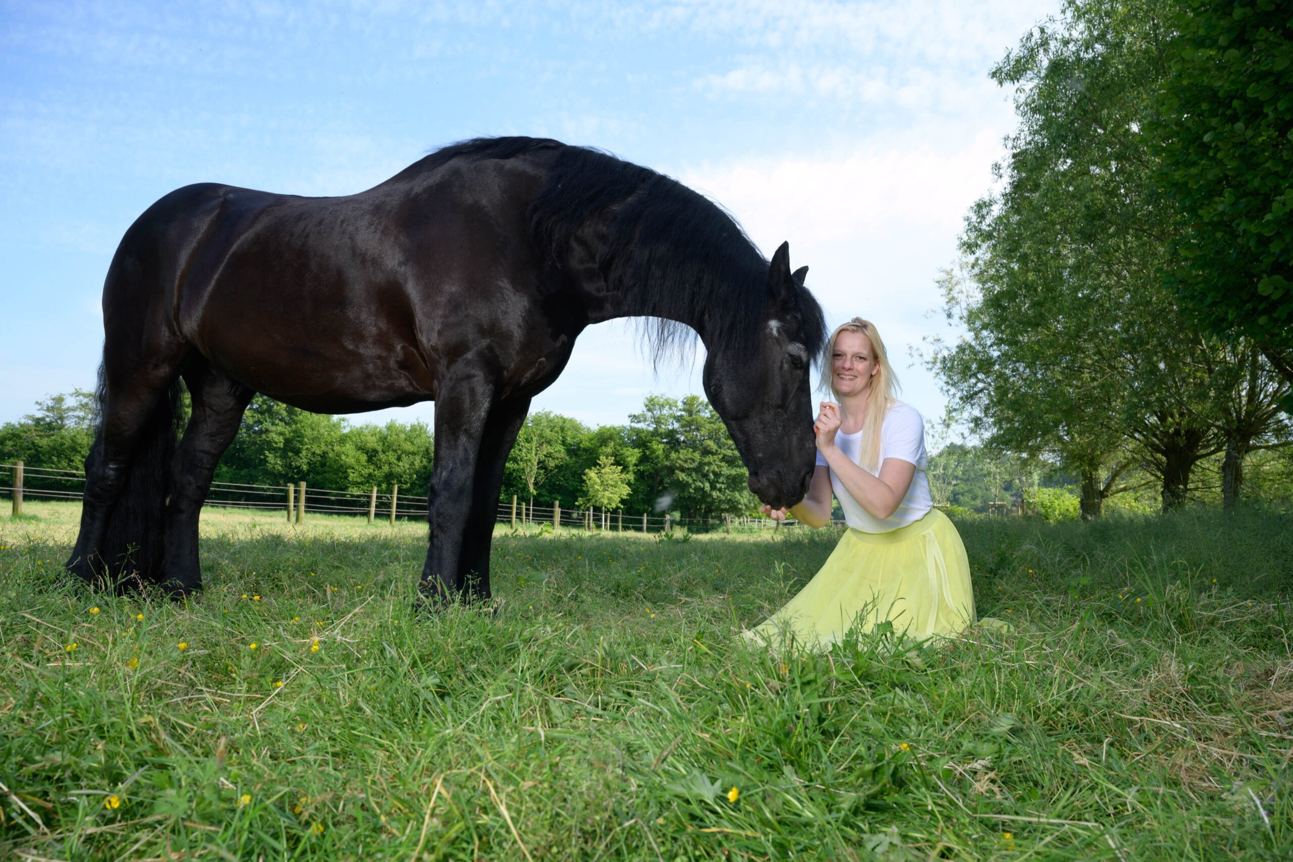 Einblicke auf ein Pferdeshooting mit Model im Wendy Style